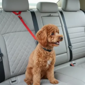 Cinturón de Seguridad para Perros de Nylon – Arnés 2 en 1 Ajustable para Coche | Protección y Control