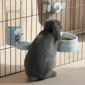 Comedero Automático Colgable para Mascotas – Bebedero/Dispensador de Comida para Perros, Gatos y Conejos