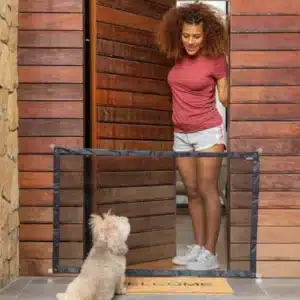 Red de Seguridad para Mascotas Petinu InnovaGoods