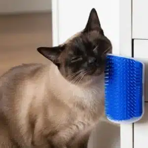 Arco Masajeador para Gatos