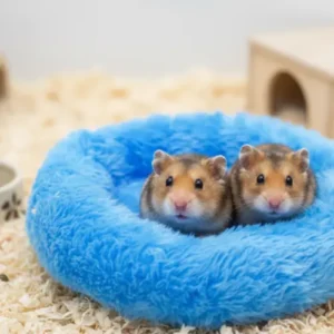 Cama Invernal de Forro Polar para Cobaya y Roedores – Cama Suave y Warm Sofa para Hámster, Rata y Erizo