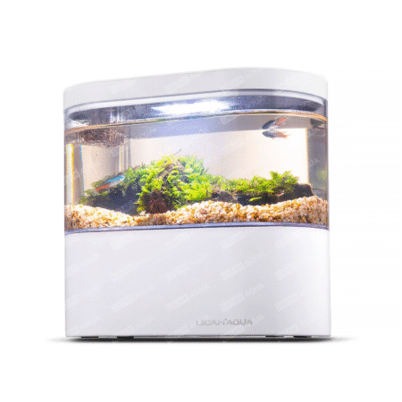 Acuario USB de Escritorio con Bomba y Luz LED – Mini Pecera con Filtro Integrado