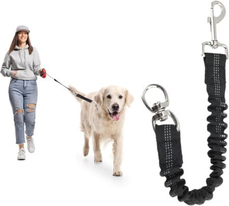 Correa Elástica para Perros con Amortiguador Elástico para Mascotas