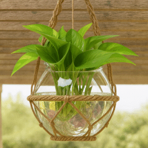 Mini Acuario Redondo de Plástico Acrílico – Pecera Transparente para Peces, Tortugas y Plantas | Diseño de Escritorio