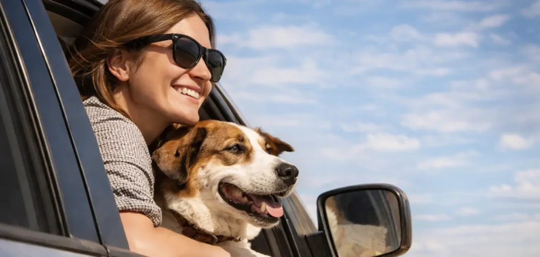 Viajar con perros: es lo que más me gusta