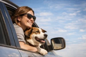 Viajar con perros: es lo que más me gusta