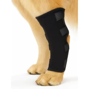 Rodillera Ortopédica para Perros – Protector de Pierna y Articulación | Vendaje de Soporte para Lesiones y Recuperación