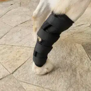 Rodillera Ortopédica para Perros – Protector de Pierna y Articulación | Vendaje de Soporte para Lesiones y Recuperación