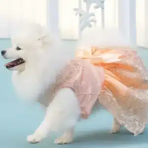 Vestido de Boda/Tutú para Perros y Gatos – Estilo Princesa con Bordados y Lazo | Ropa Elegante para Mascotas