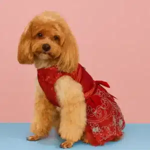 Vestido de Boda/Tutú para Perros y Gatos – Estilo Princesa con Bordados y Lazo | Ropa Elegante para Mascotas