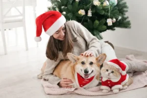 NAVIDAD CON MASCOTAS