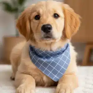 Bandanas de Algodón para Perros y Gatos – Lavables, Suaves y con Estampados de Cuadros o Lunares | Accesorio Bonito para Mascotas