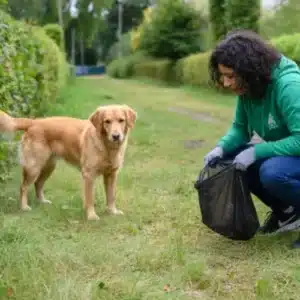 Bolsas para Caca de Perro – Packs de 300 a 1500 Uds | Bolsas Resistentes Multicolor o Negras para Excrementos