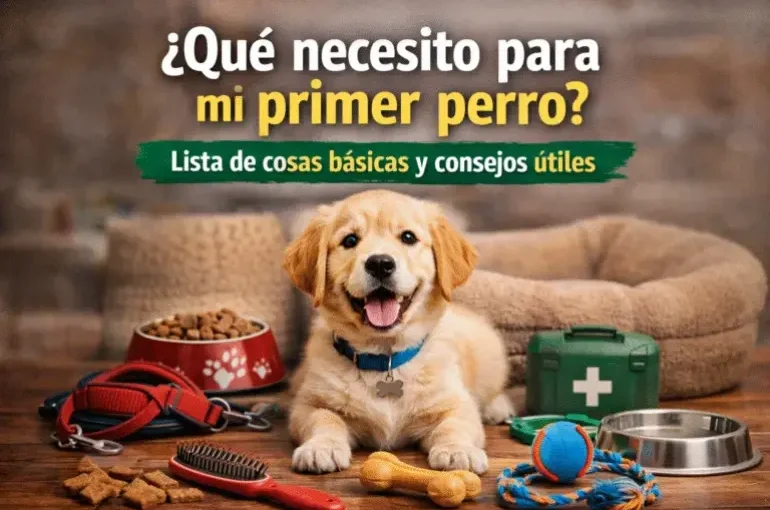 qué necesito para mi primer perro